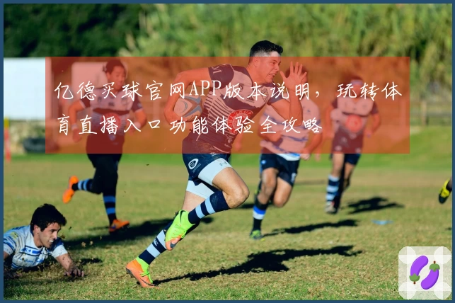 亿德买球官网APP版本说明，玩转体育直播入口功能体验全攻略