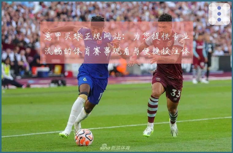 意甲买球正规网站：为您提供专业流畅的体育赛事观看与便捷投注体验