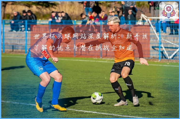 世界杯买球网站深度解析：新手该了解的优点与潜在挑战全知道