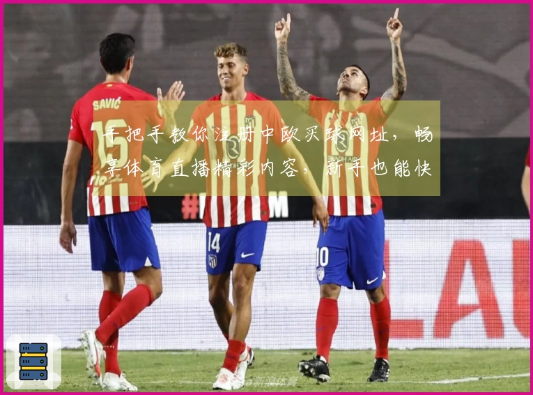 手把手教你注册中欧买球网址，畅享体育直播精彩内容，新手也能快速上手