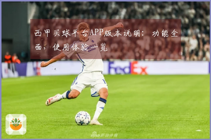 西甲买球平台APP版本说明：功能全面，使用体验一览